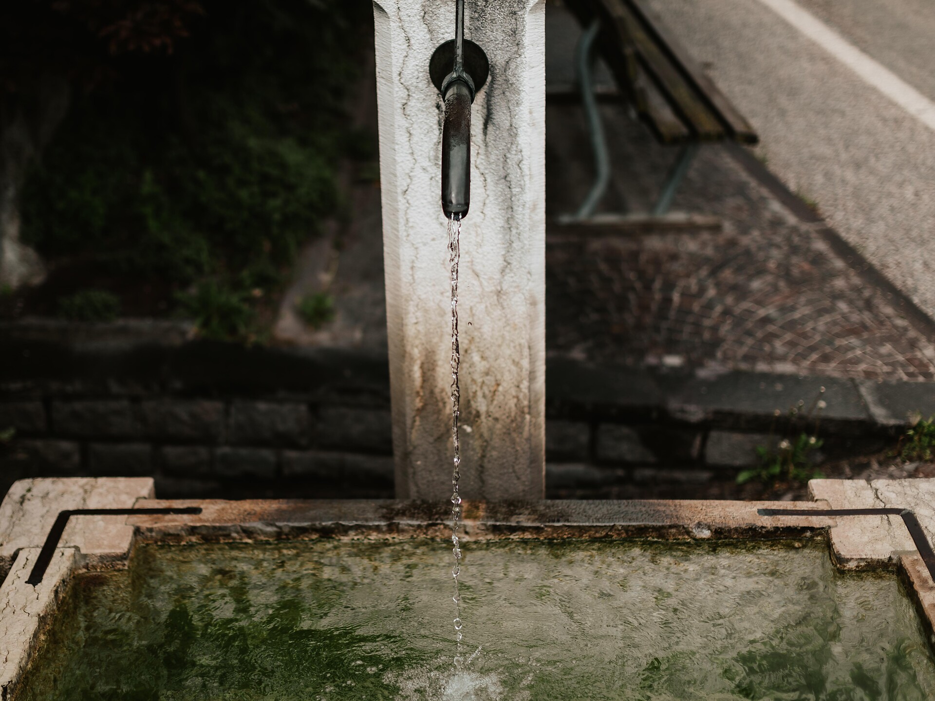 Fontana