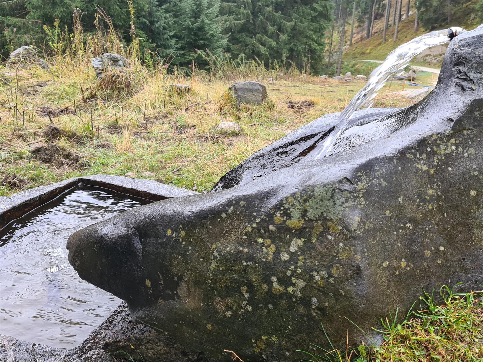 Rispetta la montagna - Fontana "Messwoad"- Nasereit - punto di erogazione dell'acqua potabile) Parcines 2 suedtirol.info