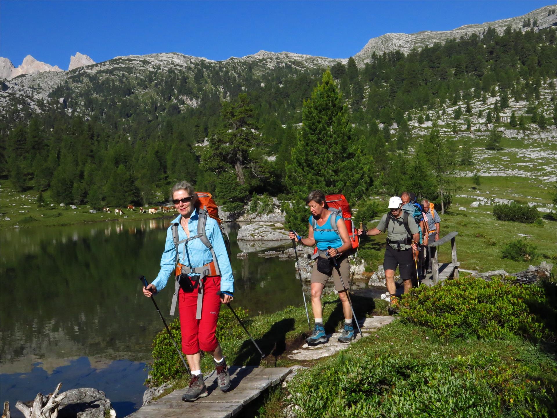 Alpinschule Südtirol Niederdorf 8 suedtirol.info