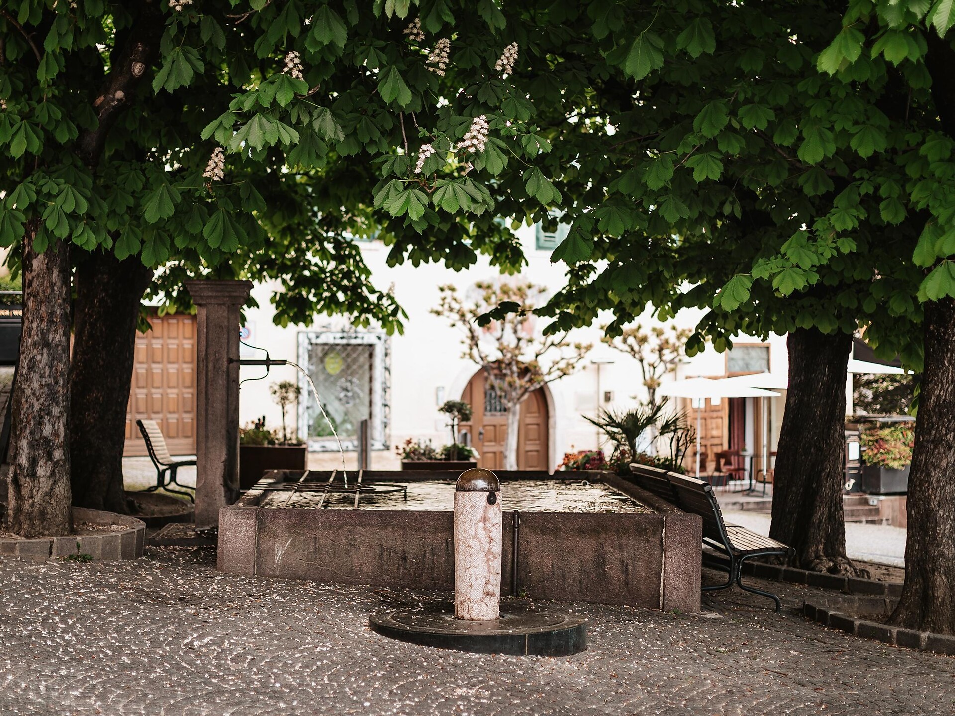 Brunnen Rathausplatz Tramin - Südtiroler Weinstraße - #1 - suedtirol.info