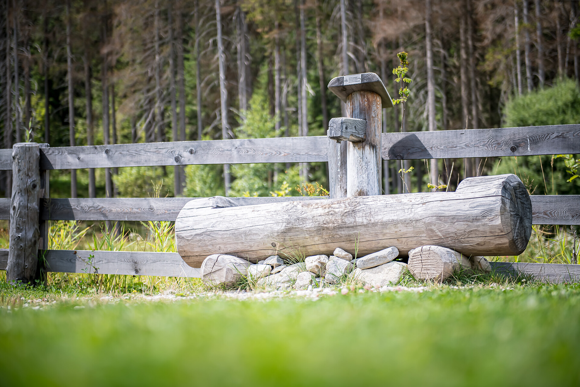 Trinkwasserbrunnen Pragis Park