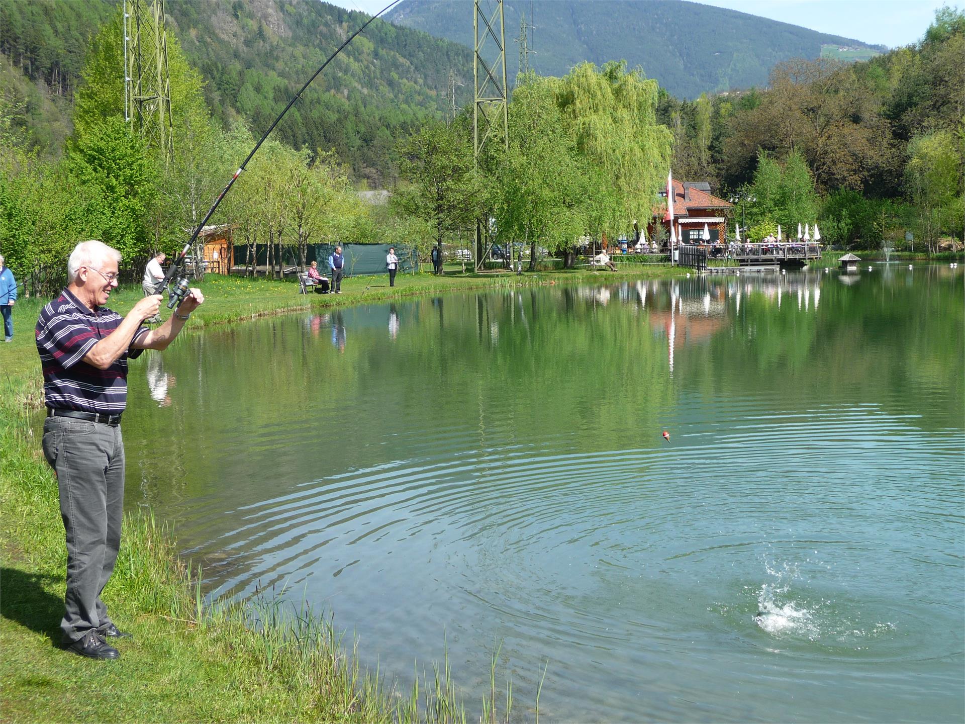 Laghetto di pesca Untersee Varna 1 suedtirol.info