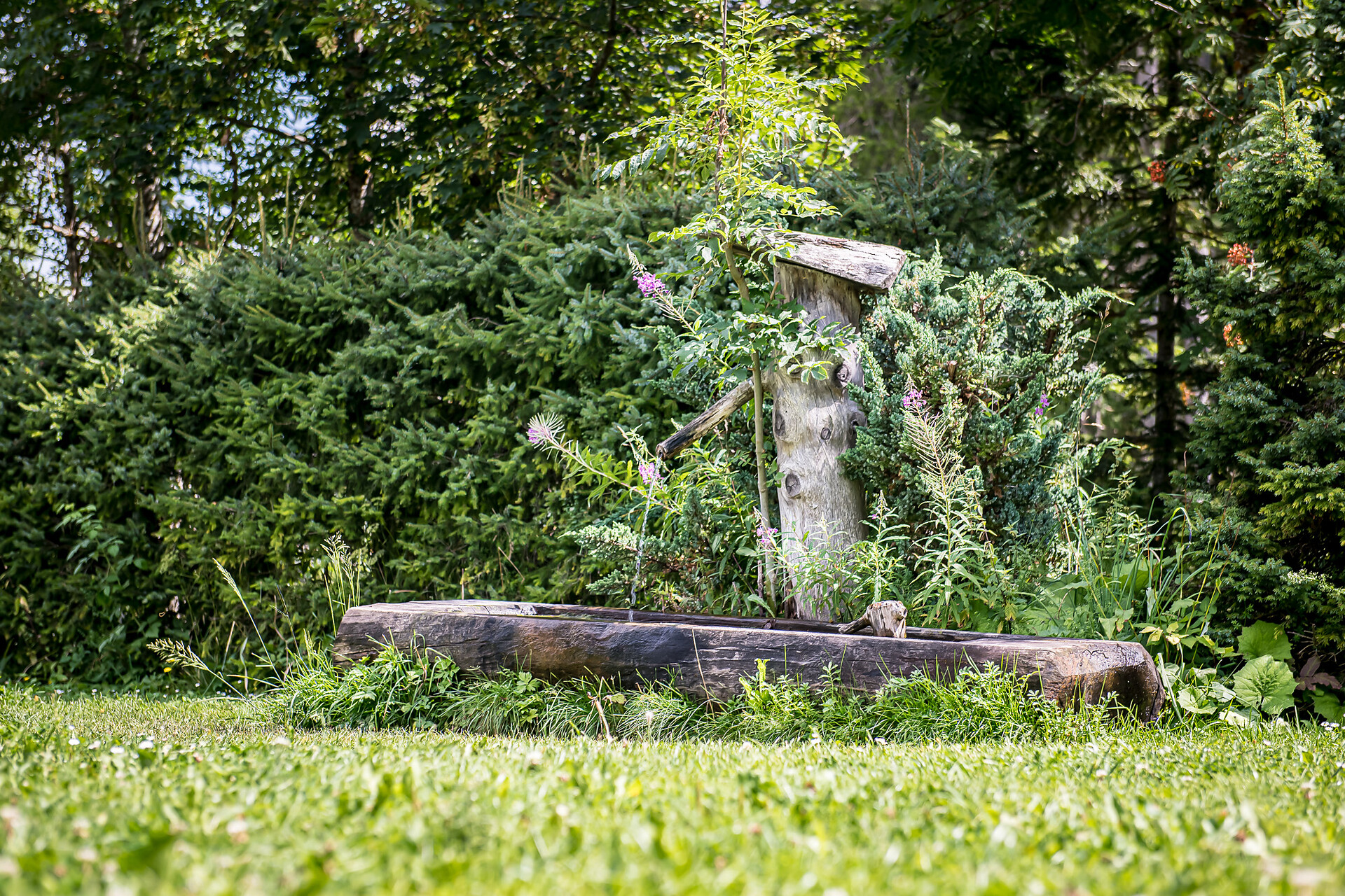 Fountain St. Veit/San Vito
