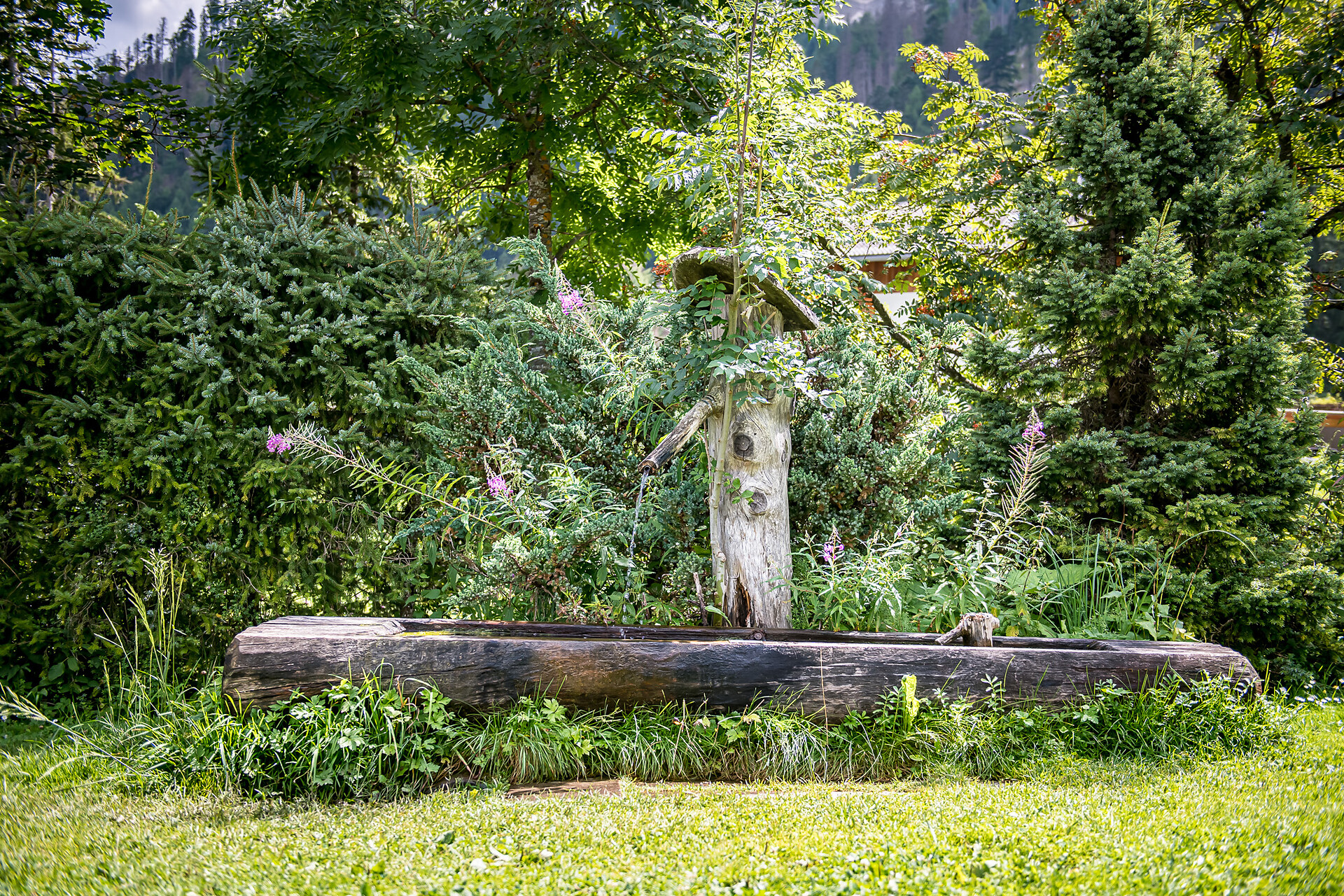 Fountain St. Veit/San Vito