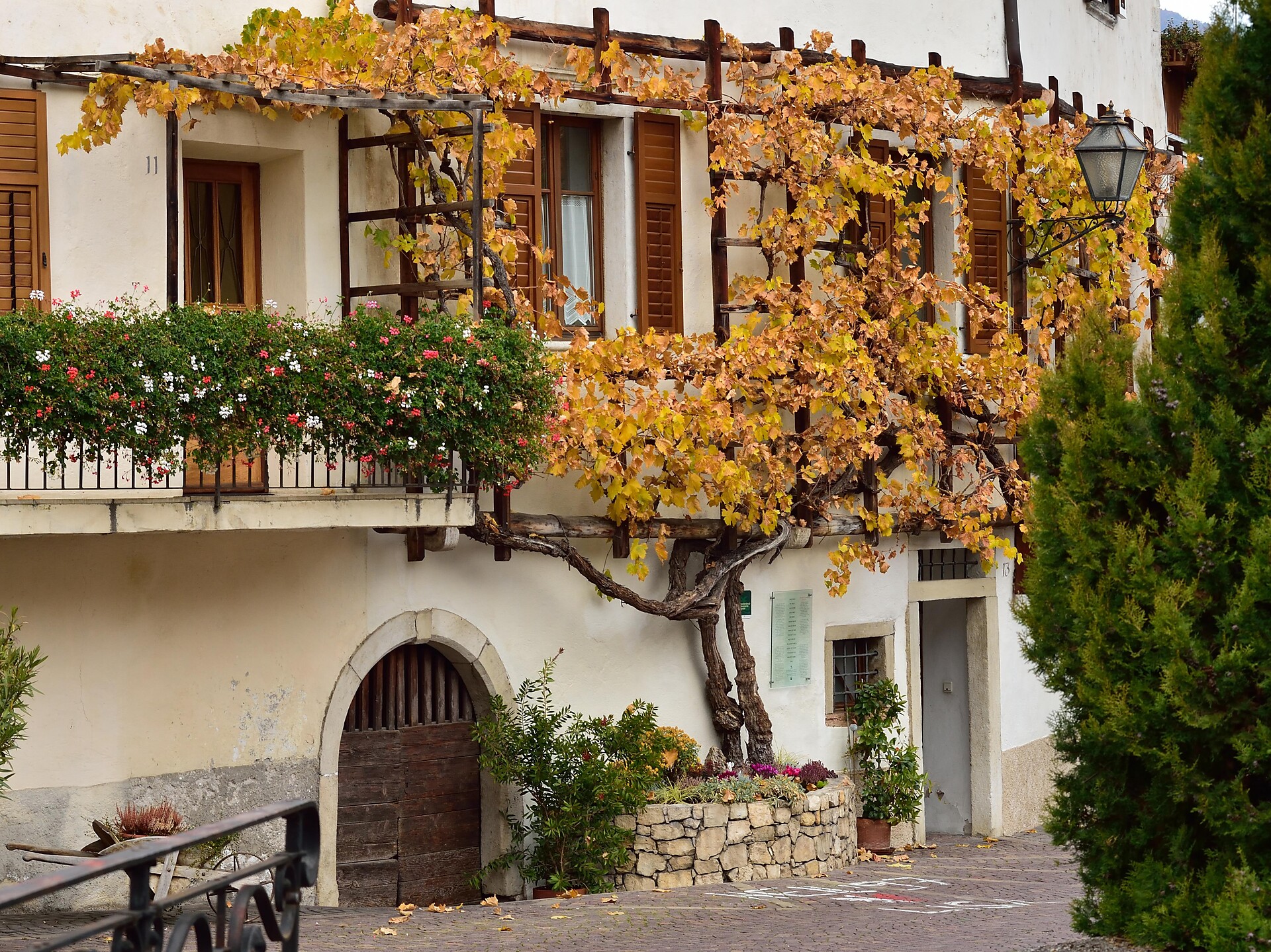 Vigna vecchia, Magrè sulla Strada del Vino