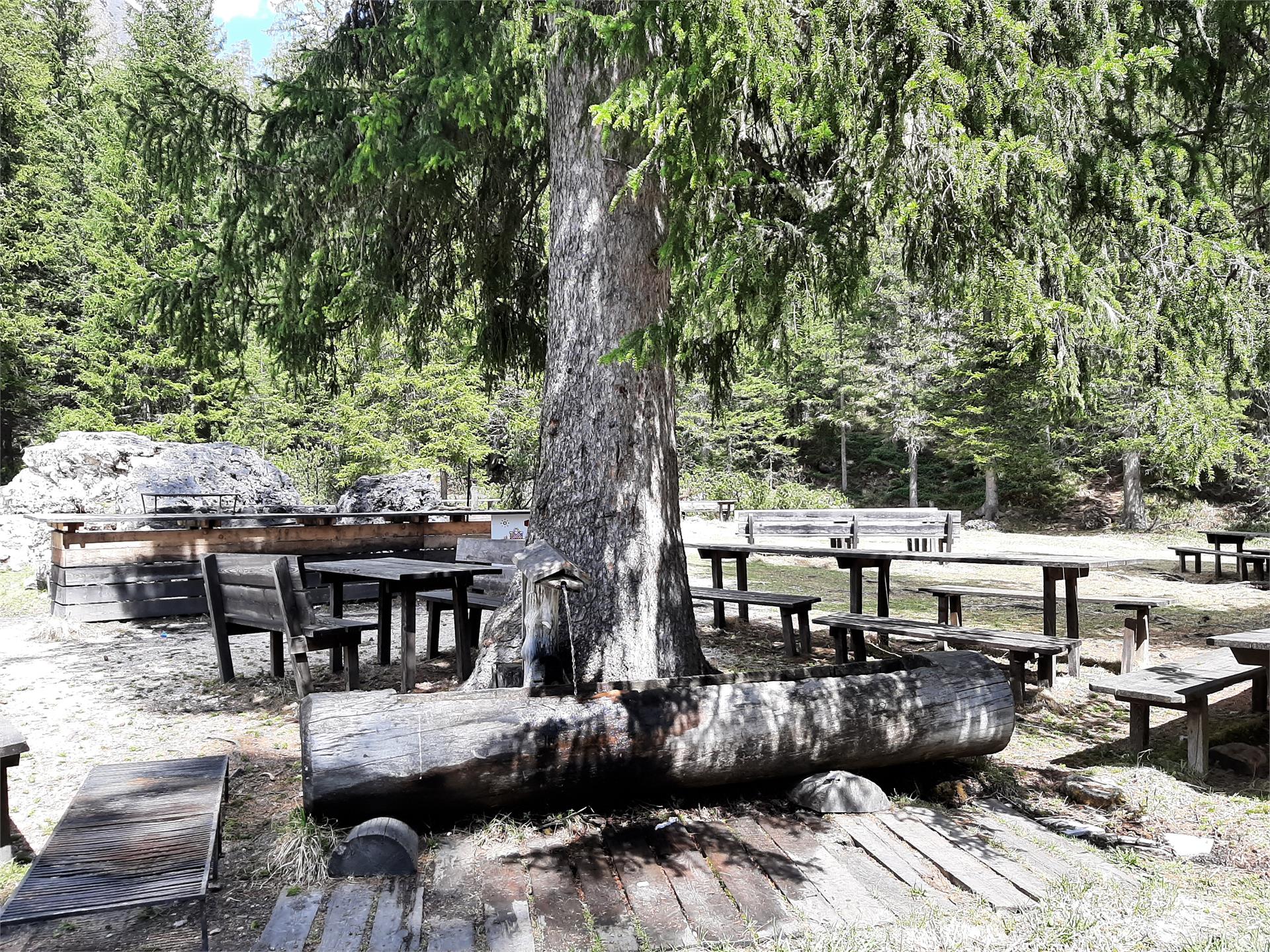 Brunnen Grillplatz San Cassiano Badia 1 suedtirol.info