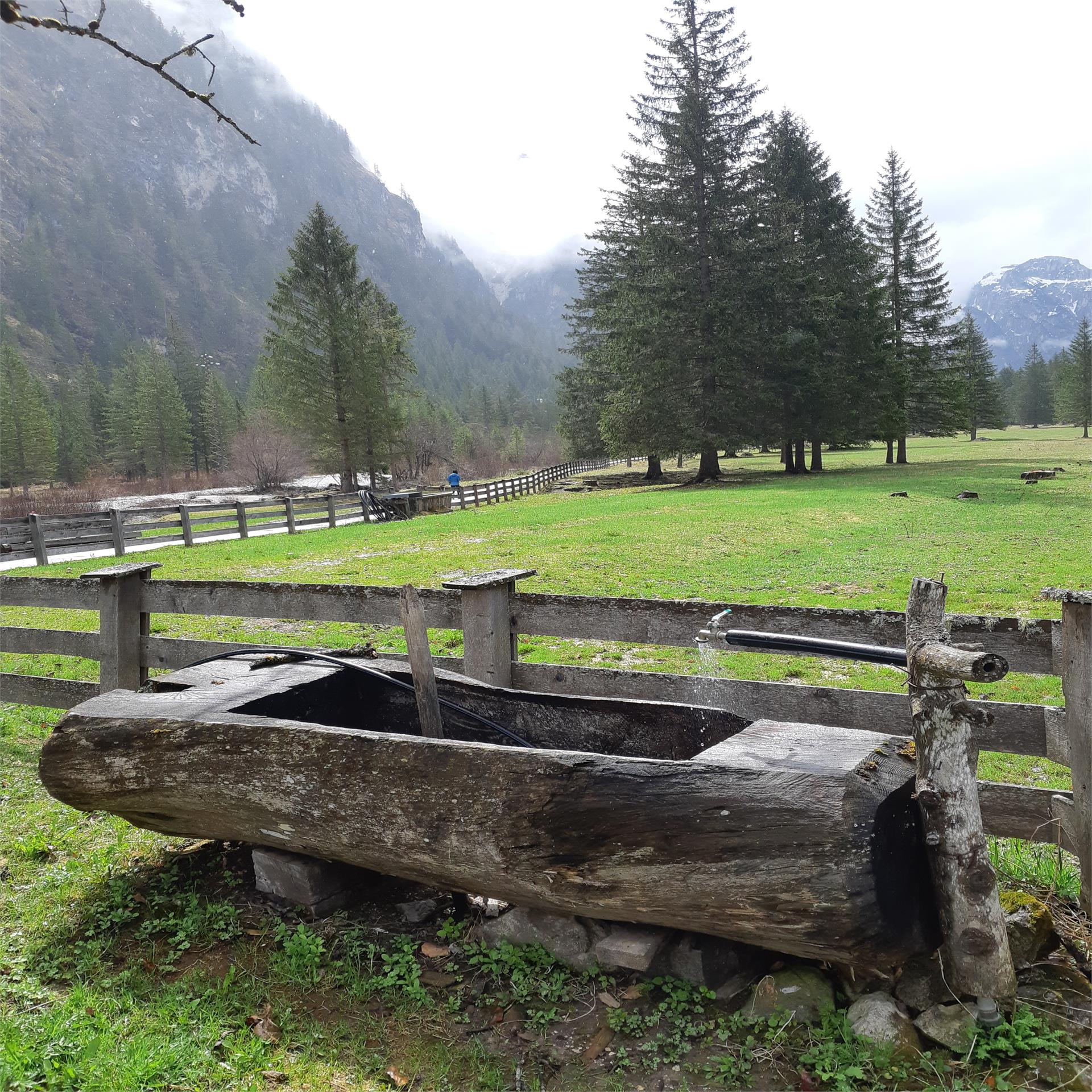 Achtsam am Berg - Brunnen AVS Hütte, Höhlensteintal, Toblach Toblach 1 suedtirol.info