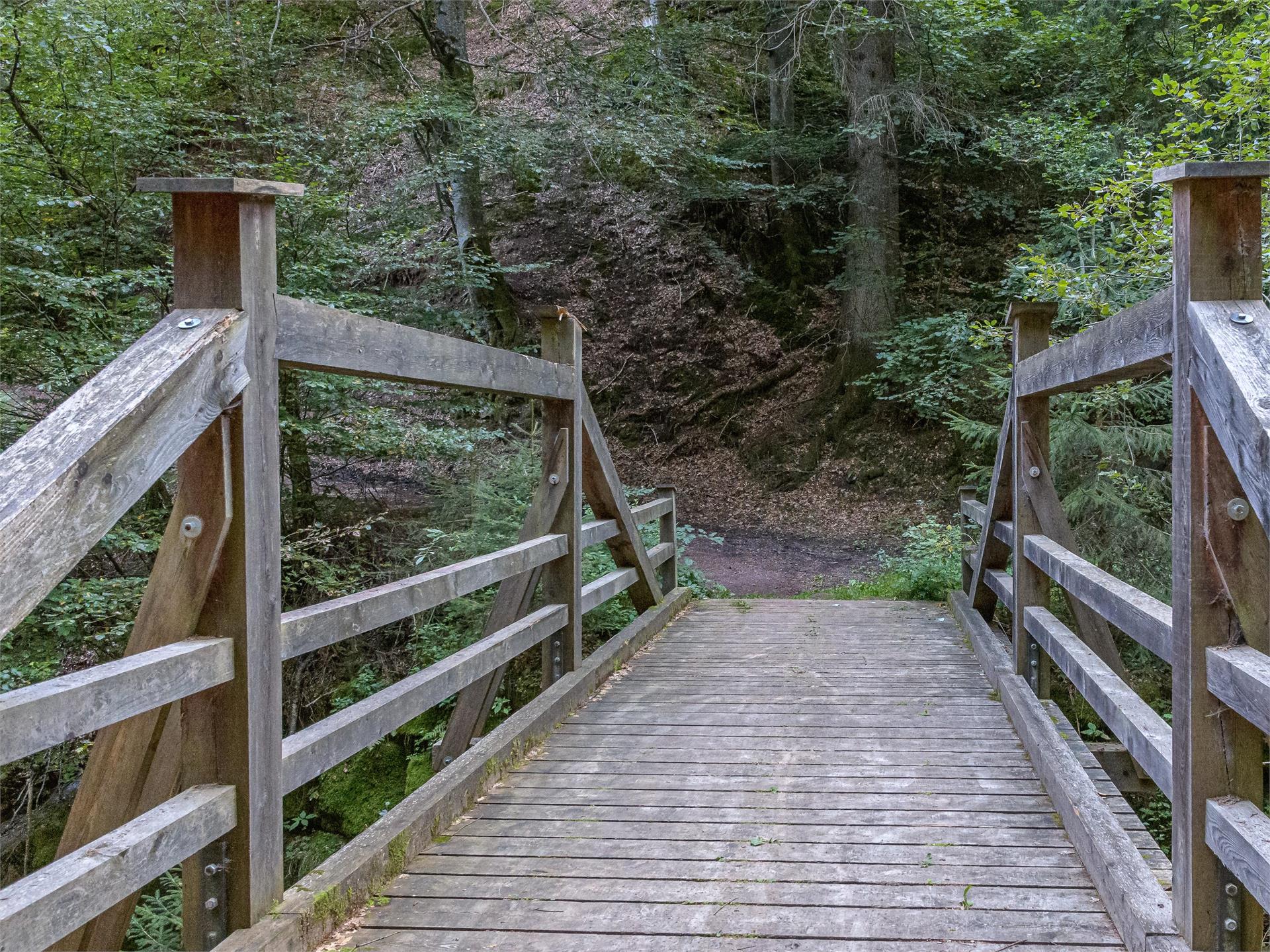 Avia - Der Holzfällerweg Jenesien 4 suedtirol.info
