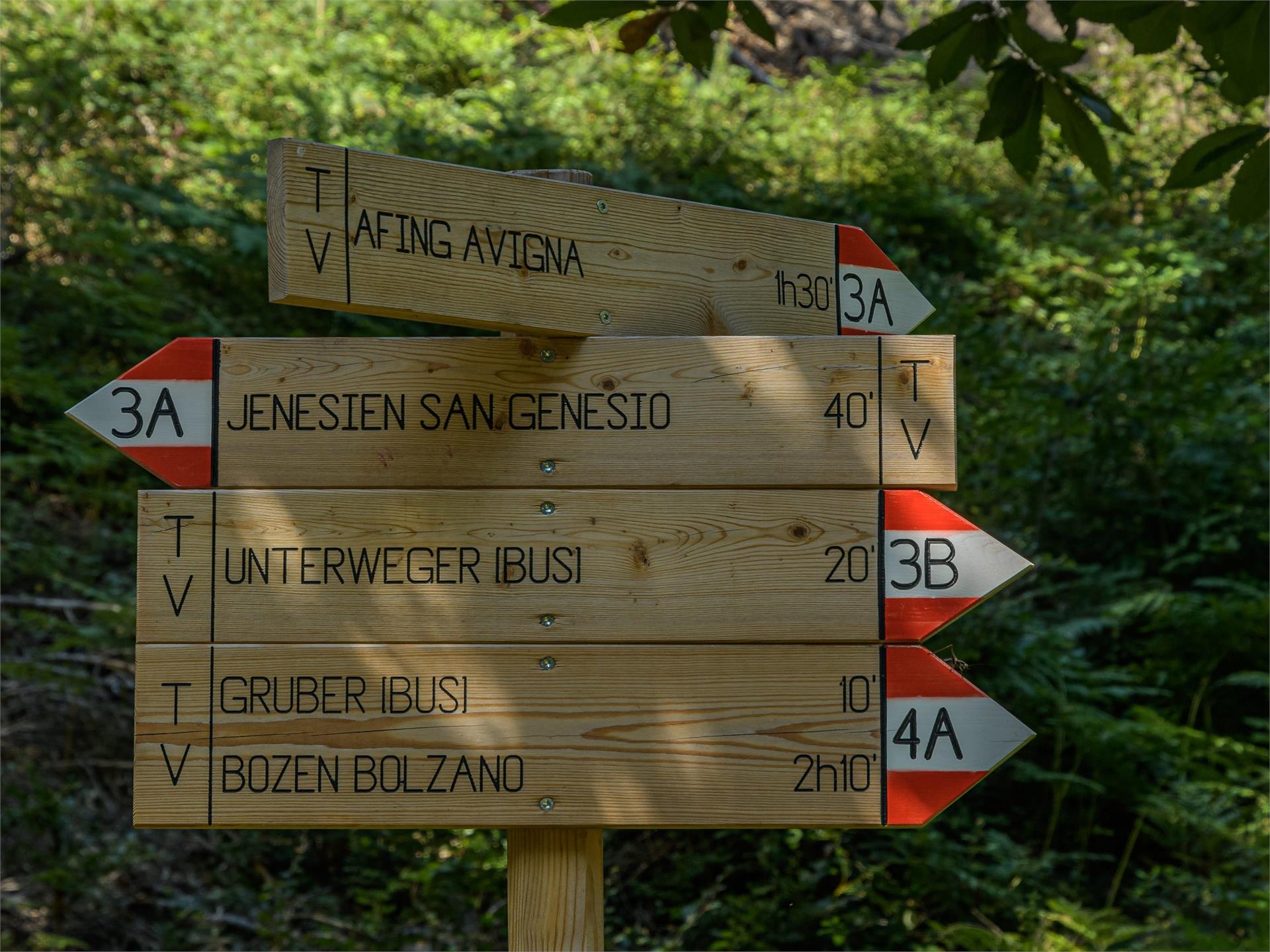Avia - Der Holzfällerweg Jenesien 2 suedtirol.info