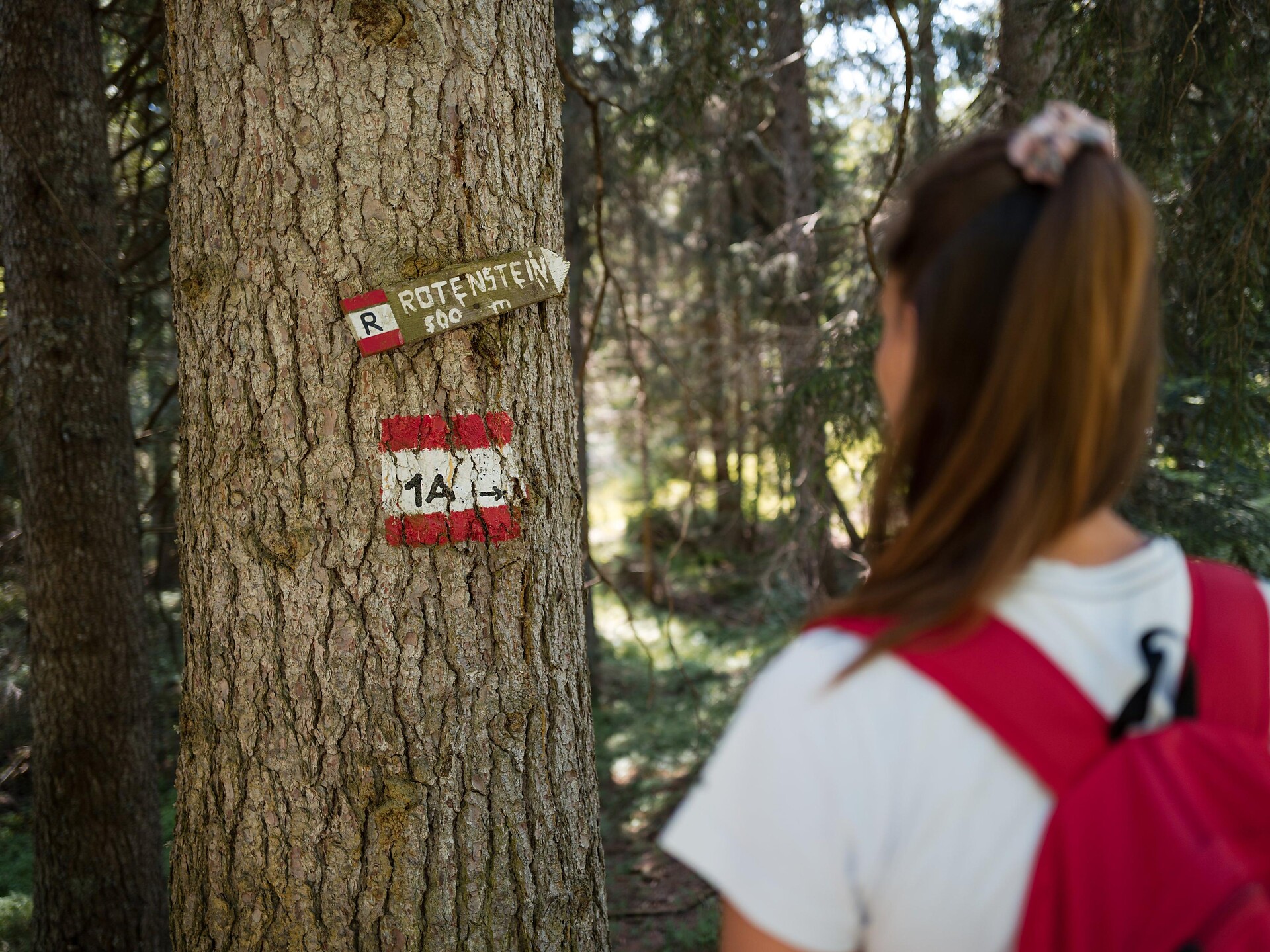 Hiking trip Rotenstein viewpoint