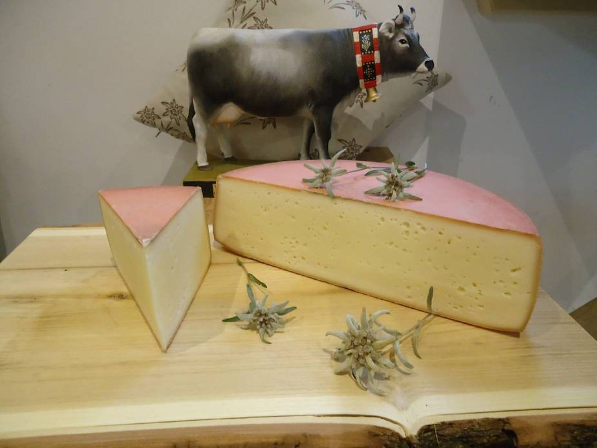 Mountain Dairy Pfelders Seppner Farm Dairy - Meran/Merano and environs - #1 - suedtirol.info