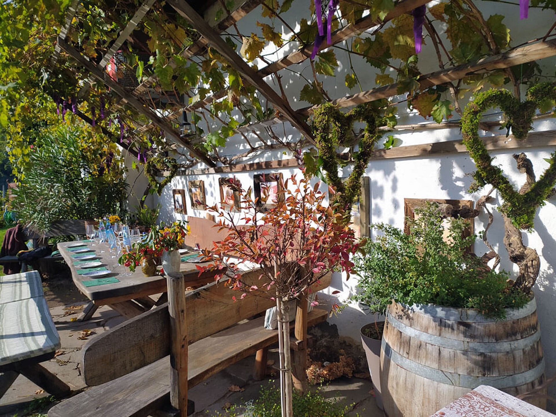 Azienda vinicola biondinamica Zollweghof