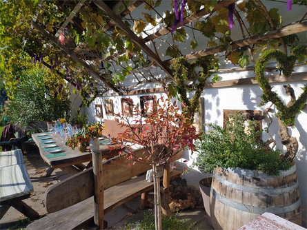 Organic Winery Zollweghof  1 suedtirol.info