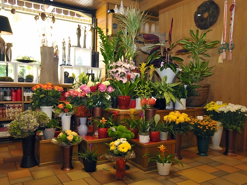 Blumen Hochkofler