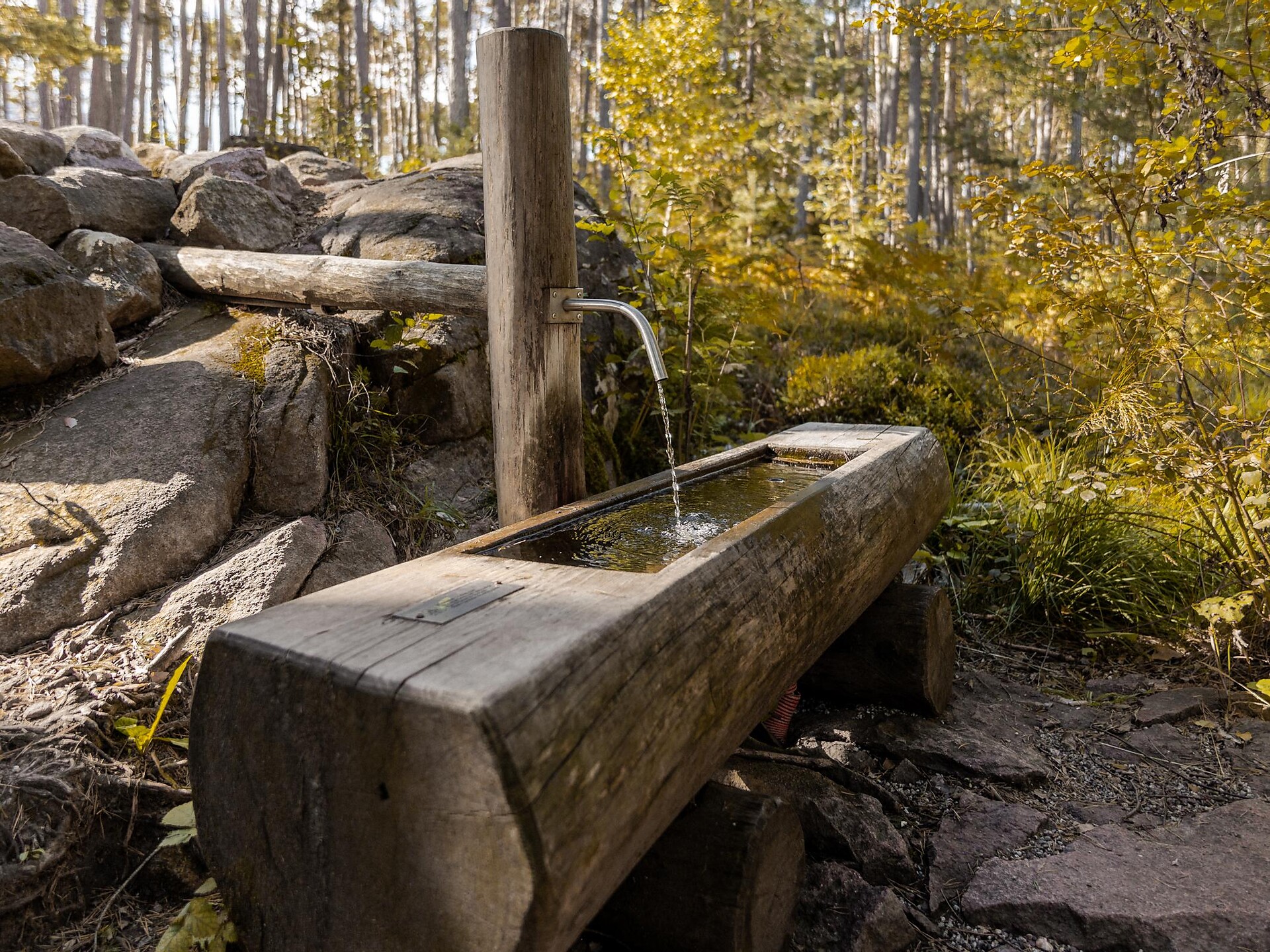 Fountain Laranz
