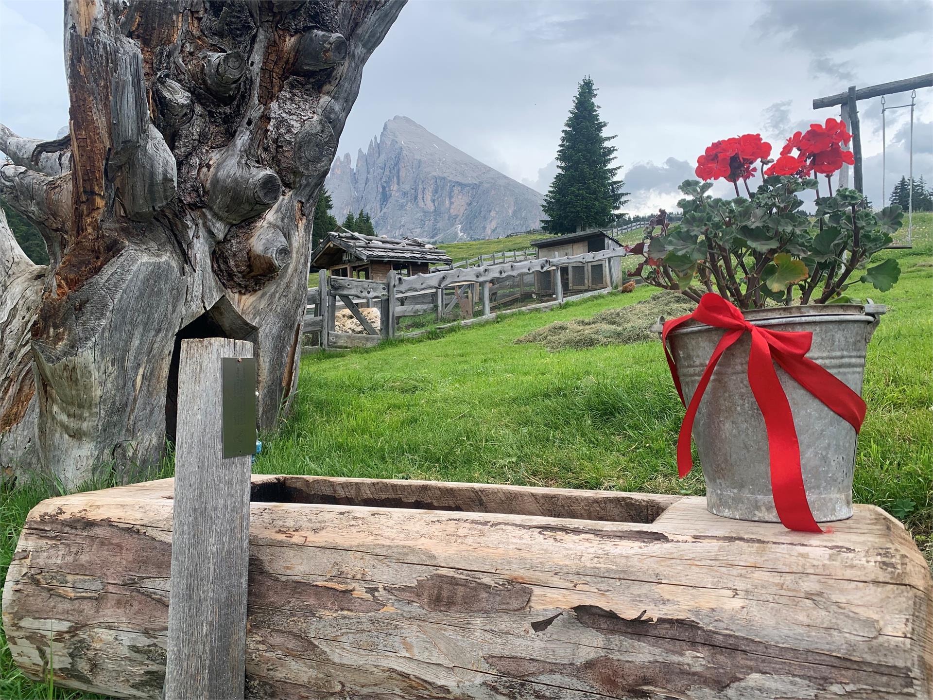 Fountain Saltner hut Saltria S.Crestina Gherdëina/Santa Cristina Val Gardana 1 suedtirol.info
