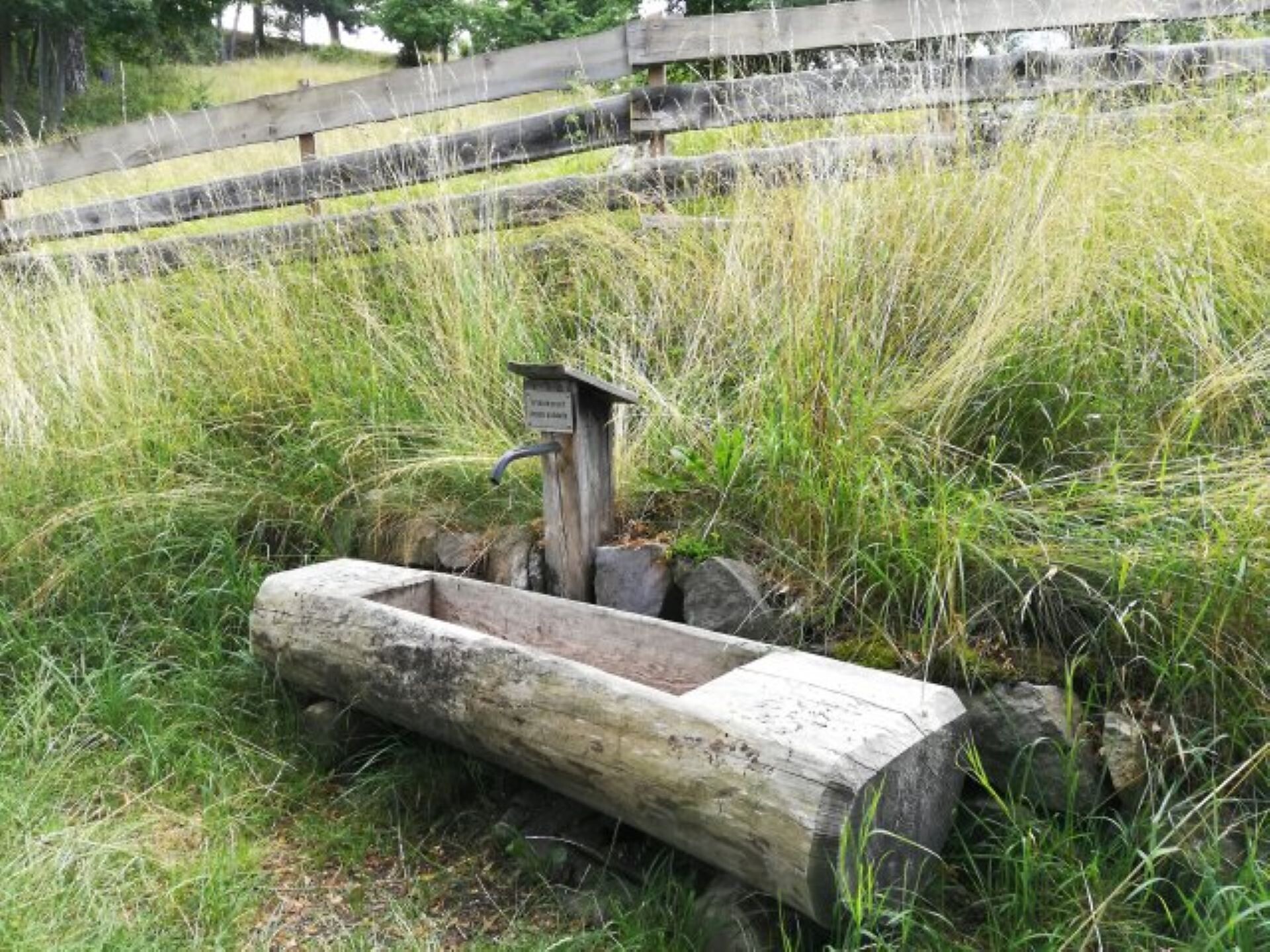 Fontana Peterbühl