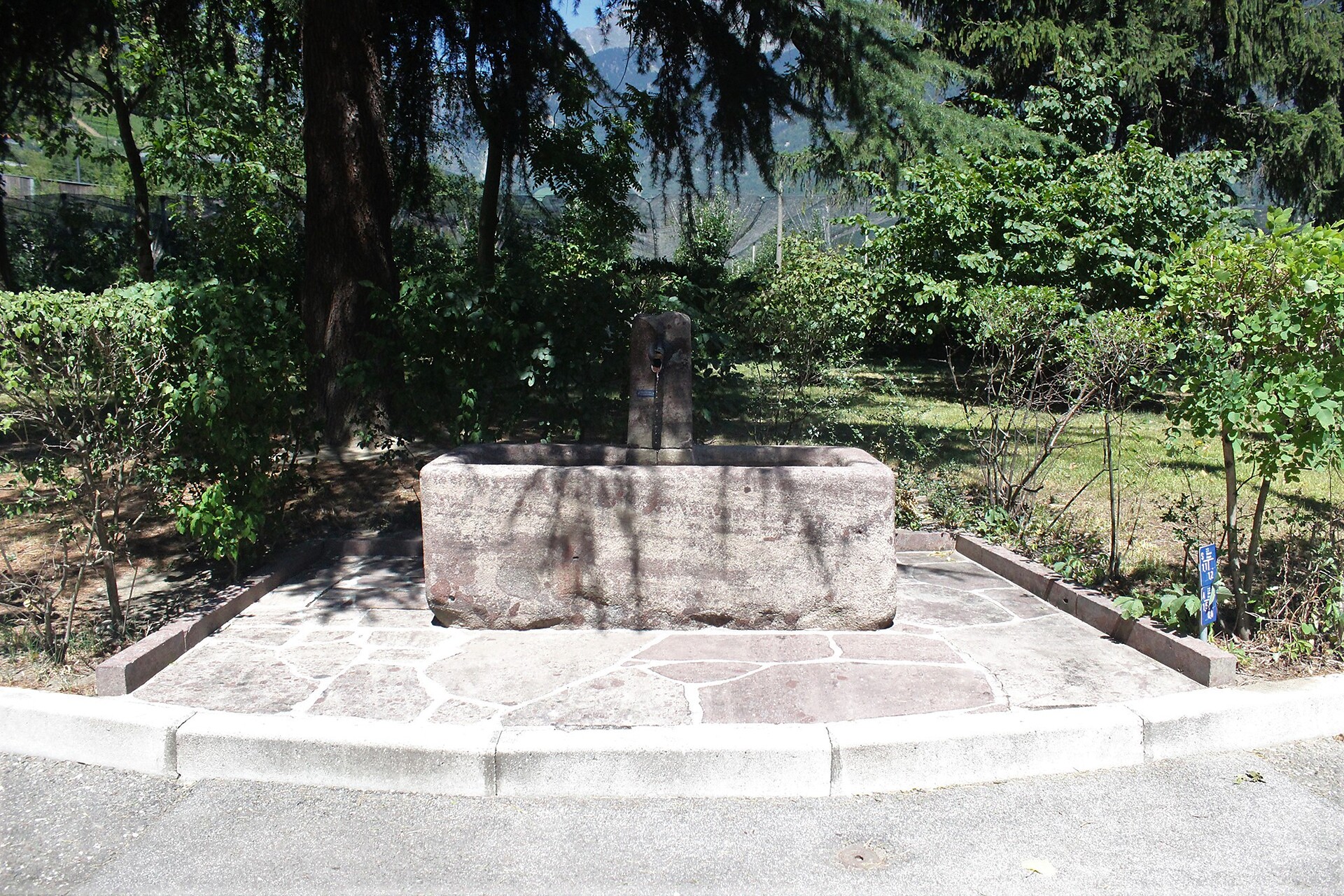 S Maria assunta