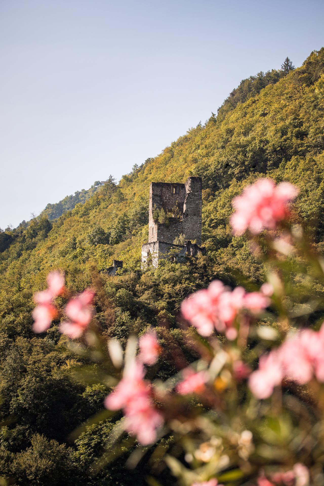Burgruine Brandis Lana 1 suedtirol.info