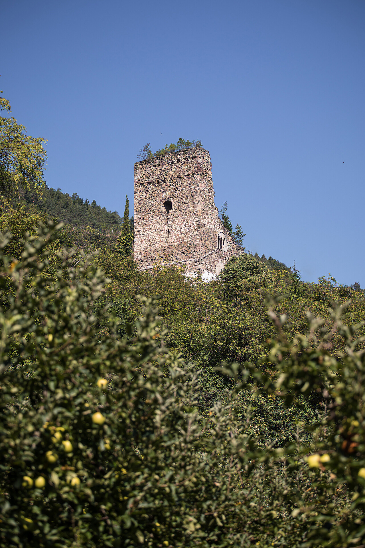 Rovine di Castel Lana 2 suedtirol.info