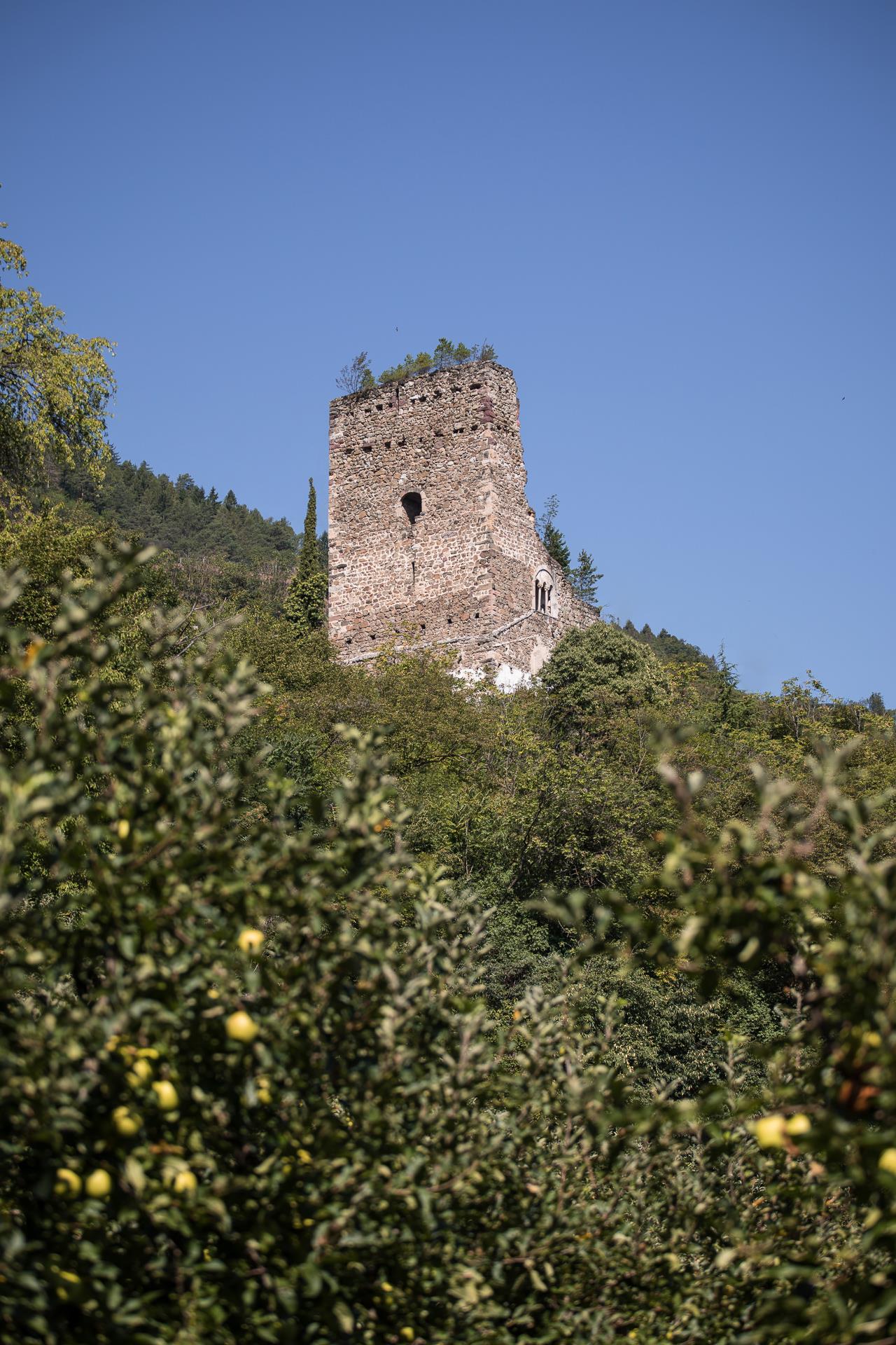 Burgruine Brandis Lana 2 suedtirol.info