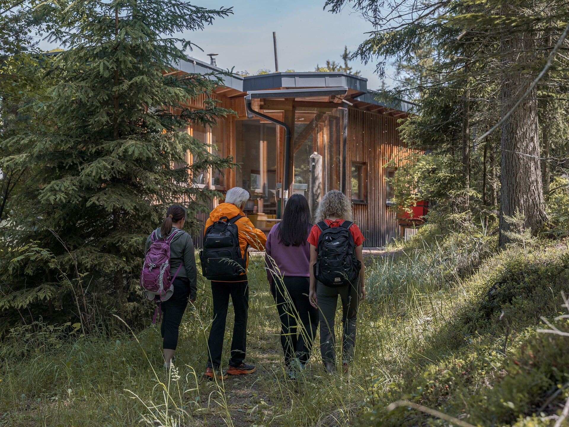 Experience trail "BeeForest" - Dolomites Region Eggental - #7 - suedtirol.info