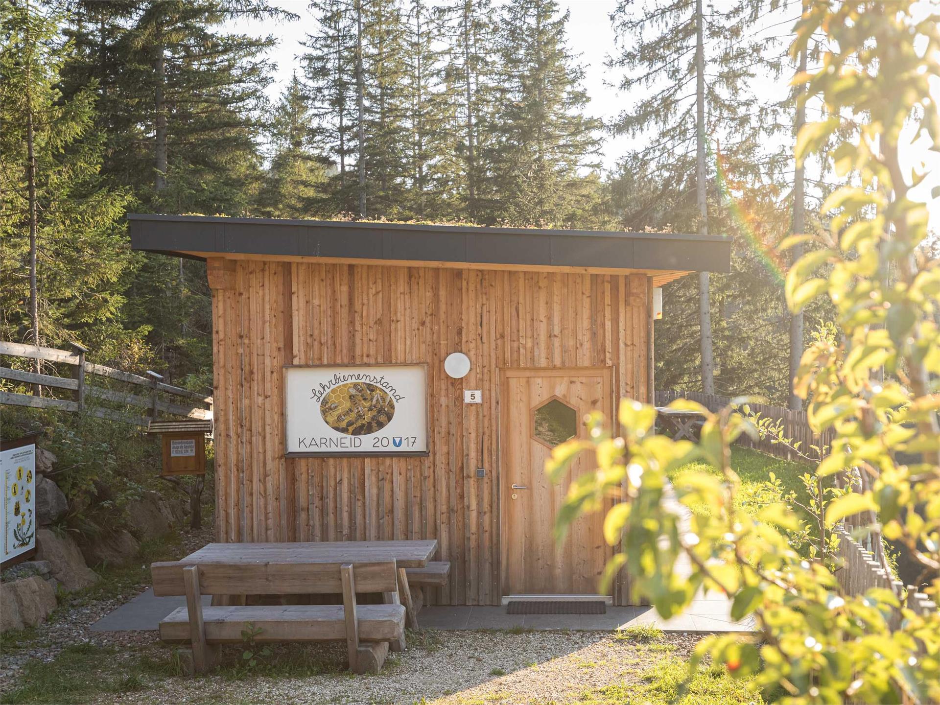 Experience trail "BeeForest" Karneid/Cornedo all'Isarco 3 suedtirol.info