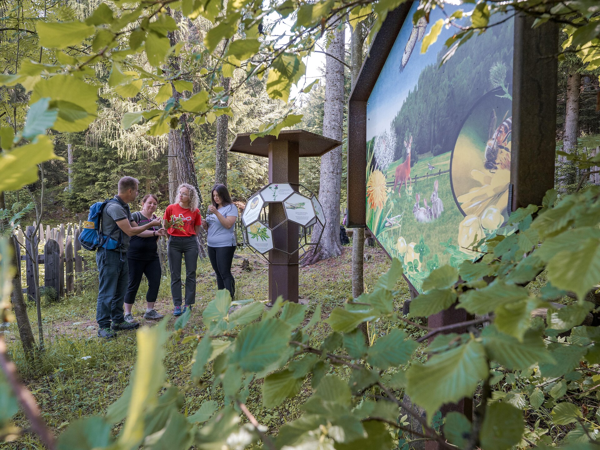 Experience trail "BeeForest" - Dolomites Region Eggental - #1 - suedtirol.info