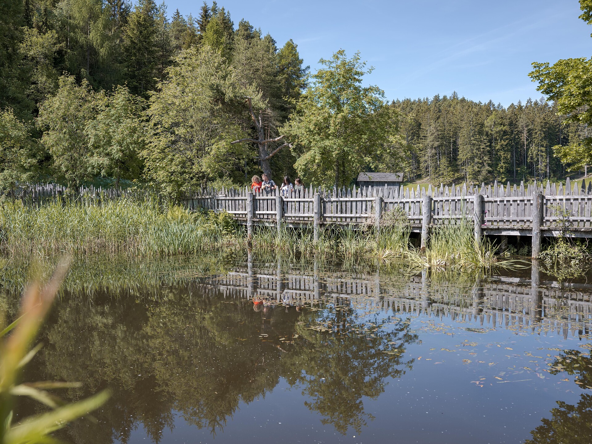 Experience trail "BeeForest" - Dolomites Region Eggental - #4 - suedtirol.info