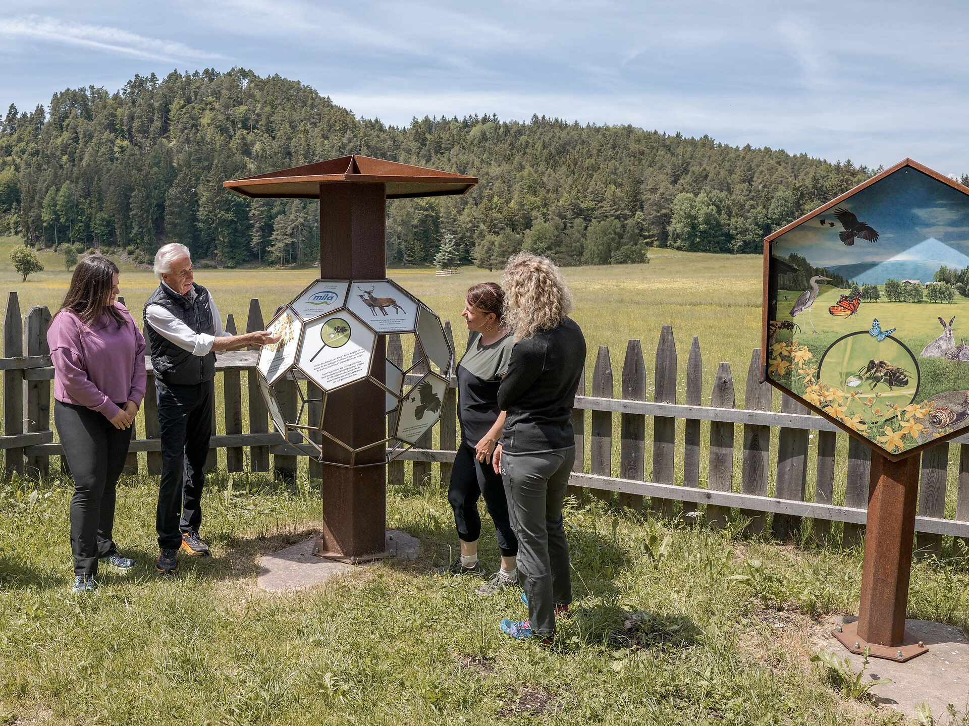 Experience trail "BeeForest" - Dolomites Region Eggental - #2 - suedtirol.info