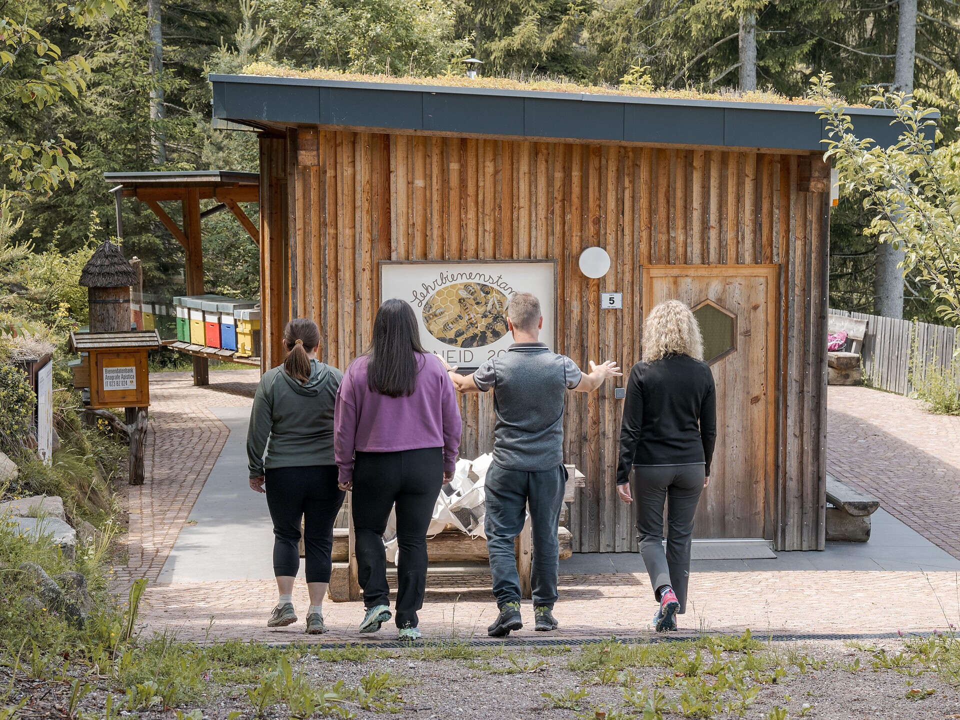 Experience trail "BeeForest" - Dolomites Region Eggental - #8 - suedtirol.info