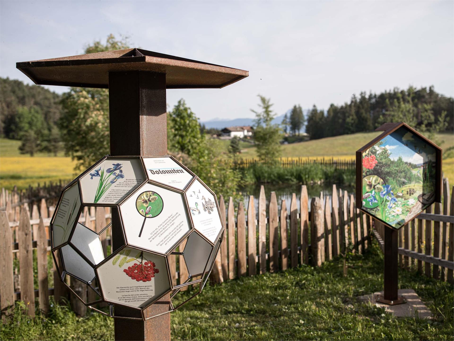 Experience trail "BeeForest" Karneid/Cornedo all'Isarco 2 suedtirol.info
