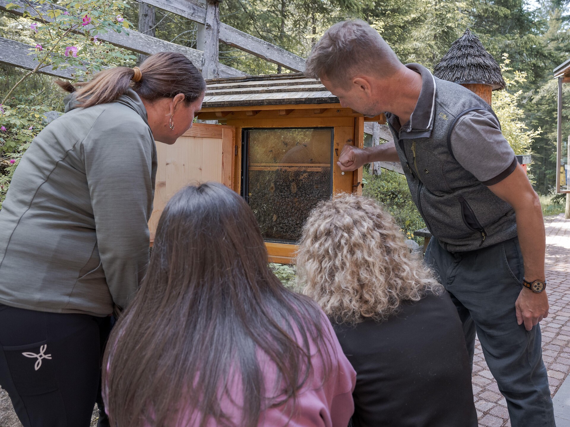 Experience trail "BeeForest" - Dolomites Region Eggental - #9 - suedtirol.info