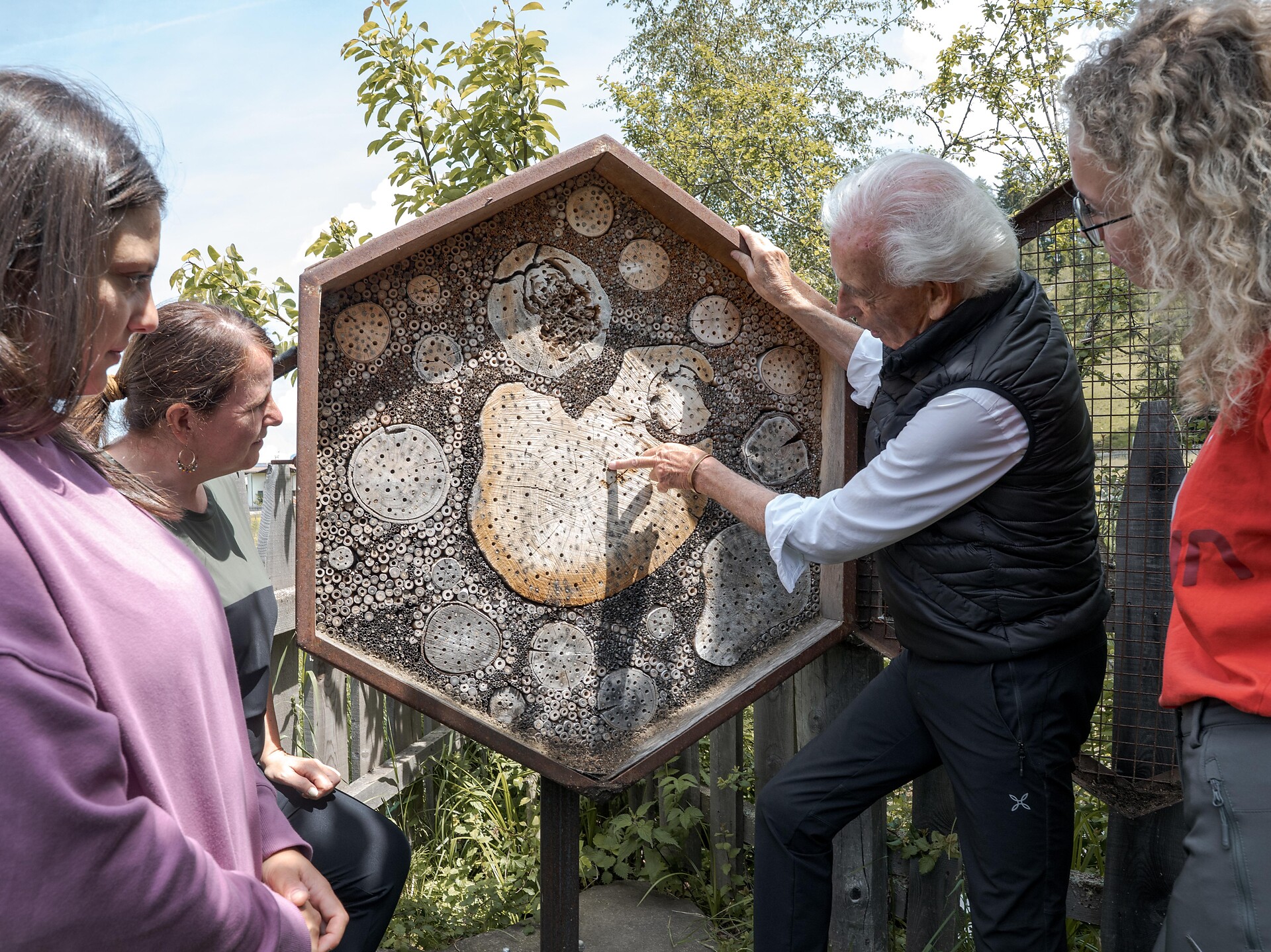 Experience trail "BeeForest" - Dolomites Region Eggental - #5 - suedtirol.info