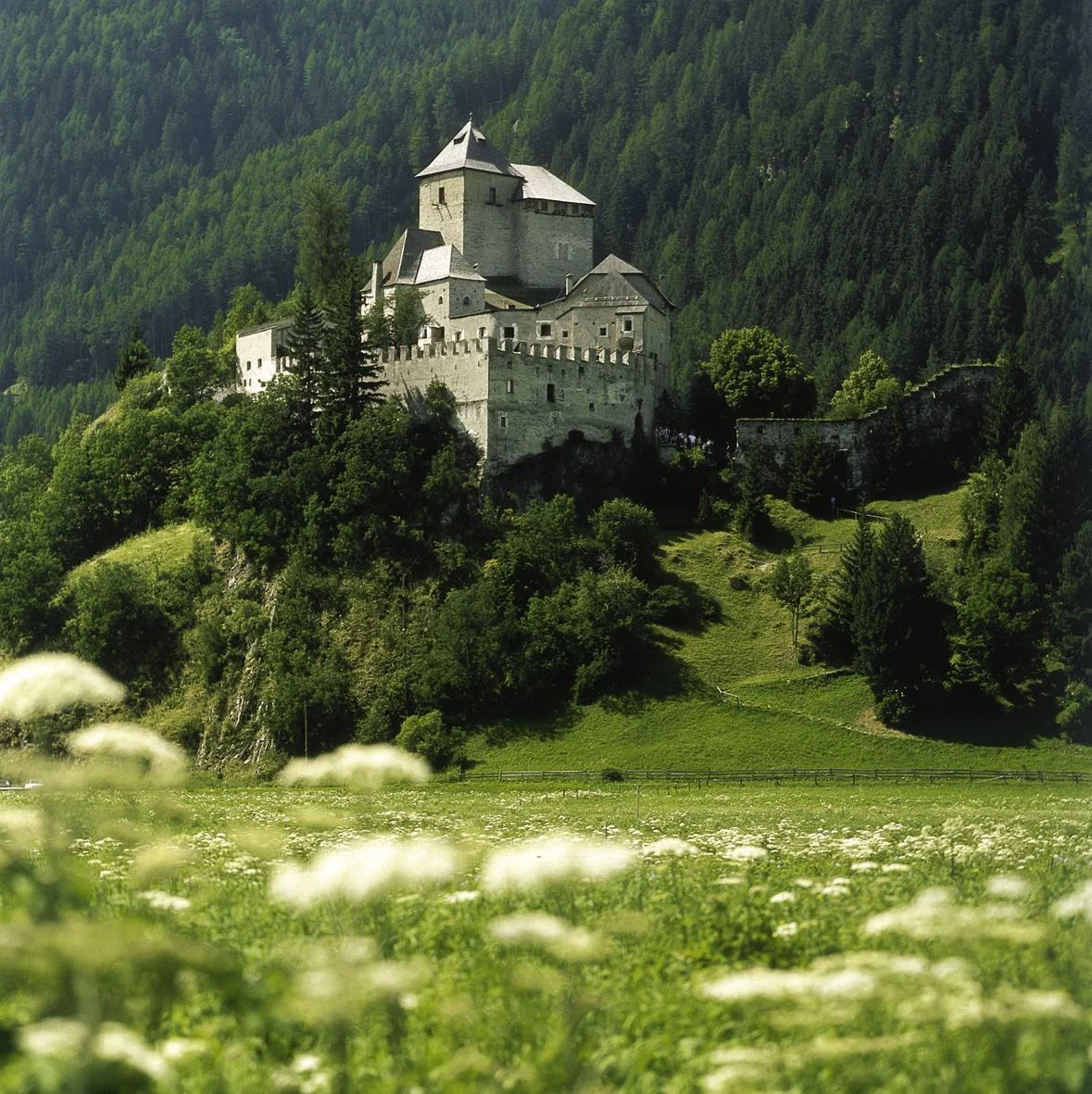 Castel Tasso Campo di Trens 2 suedtirol.info