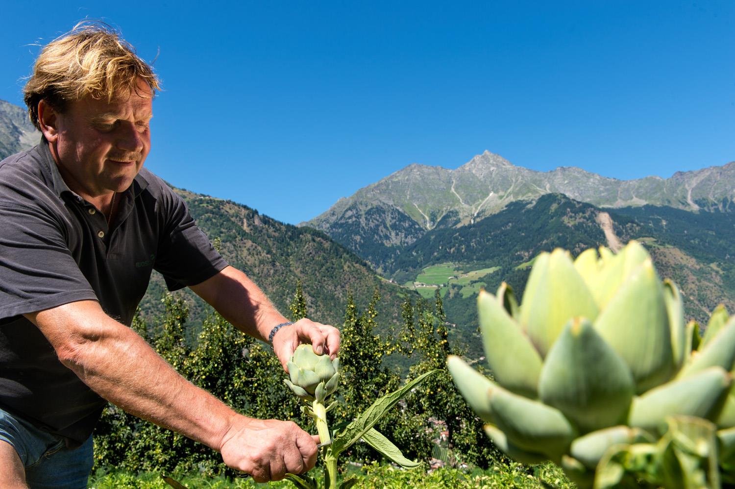Maso biologico Niedereben Parcines 4 suedtirol.info
