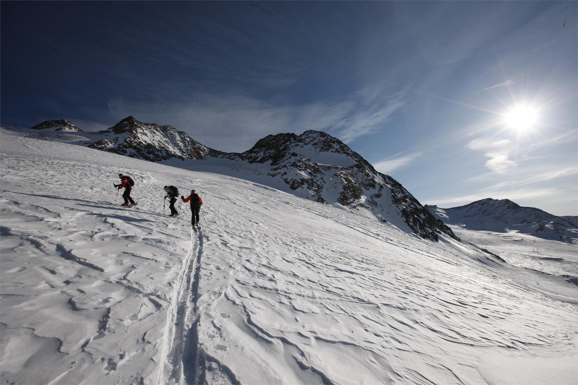 Bergführervereinigung Schnals-Passeier Schnals 1 suedtirol.info