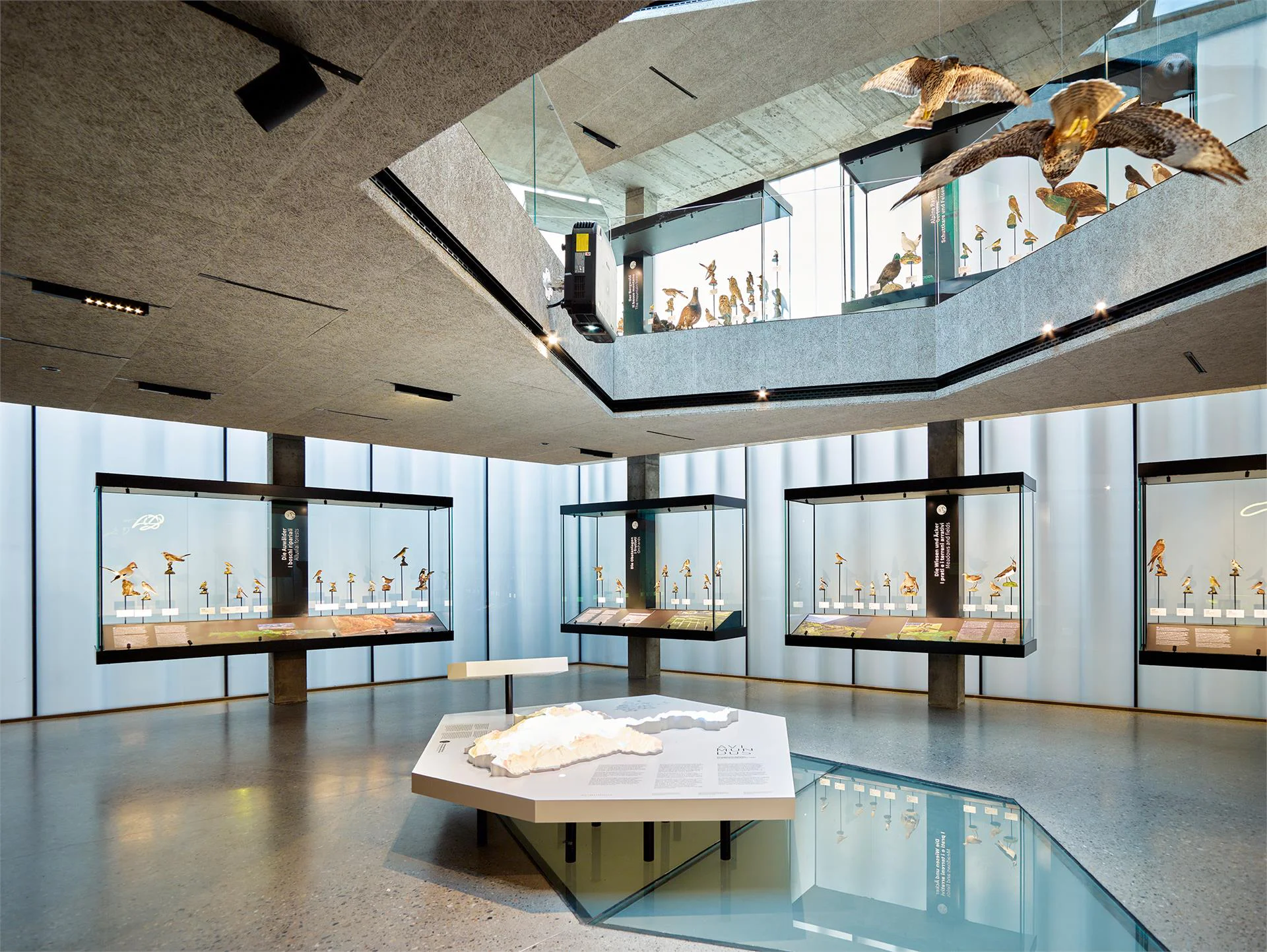 Centro visitatori avimundus Silandro 1 suedtirol.info