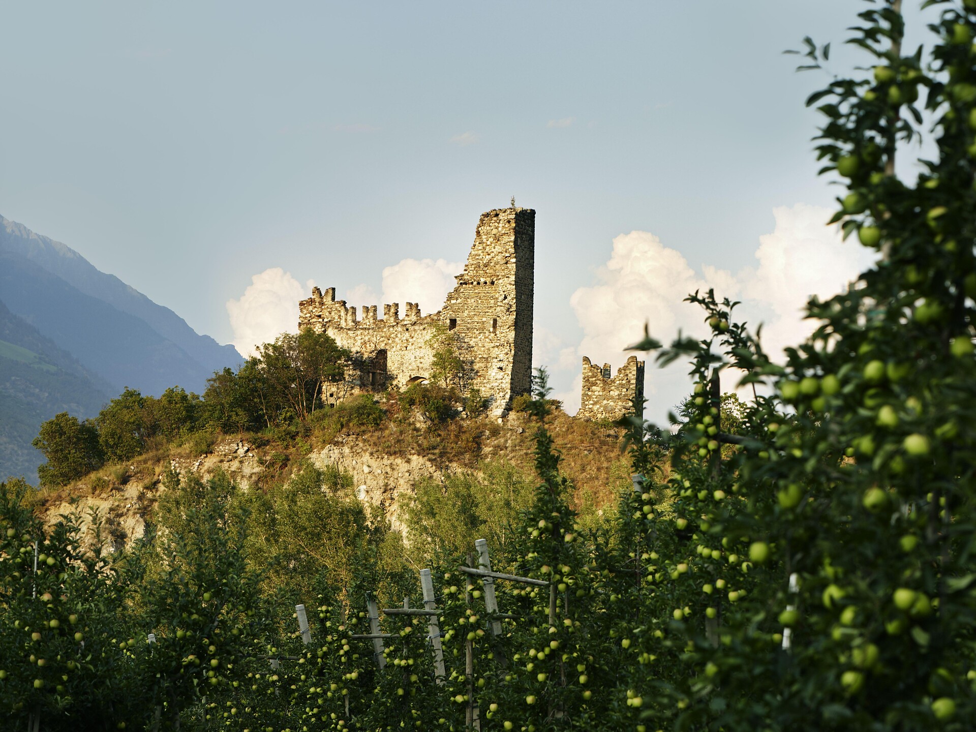 Castle Untermontani (Ruin) - Vinschgau/Val Venosta - #1 - suedtirol.info