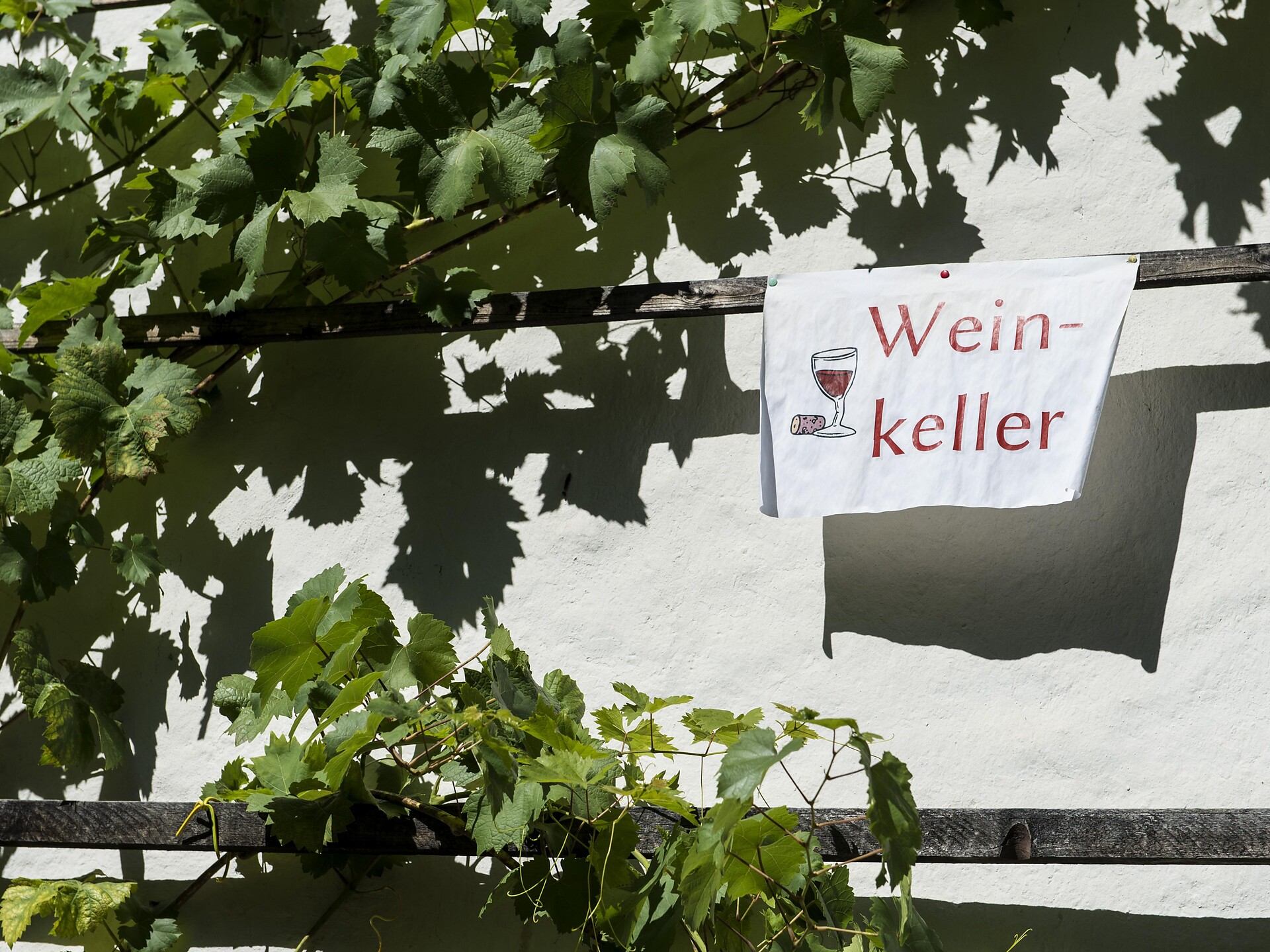 Stachlburg Castle Winery
