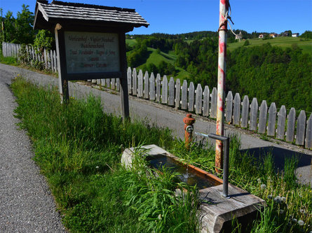 Brunnen Verleierhof Seis Kastelruth 1 suedtirol.info