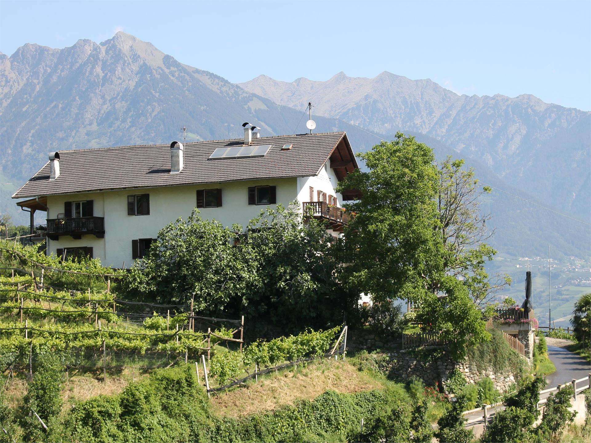 Bruggerhof Tscherms 1 suedtirol.info