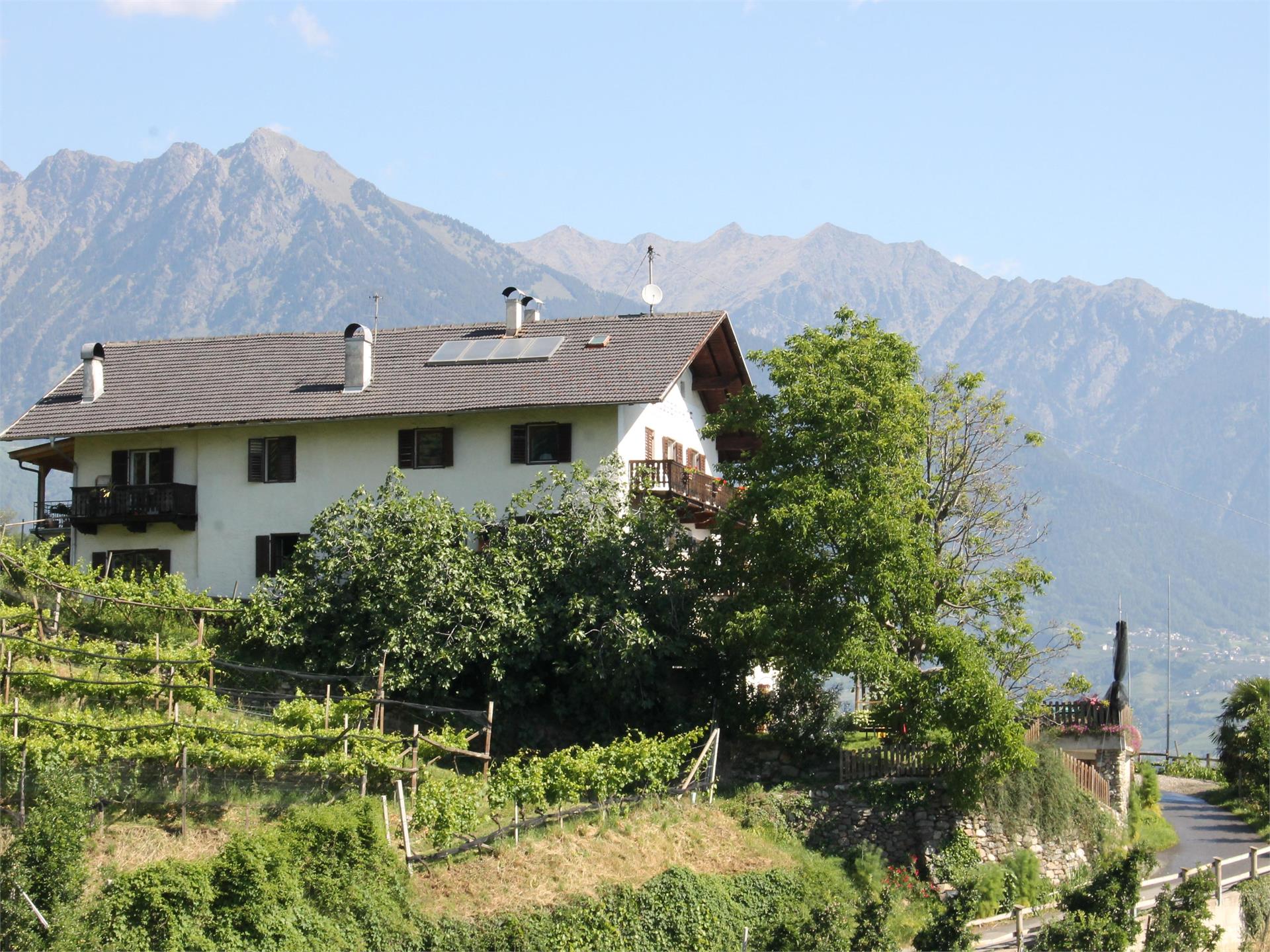 Bruggerhof Tscherms 15 suedtirol.info