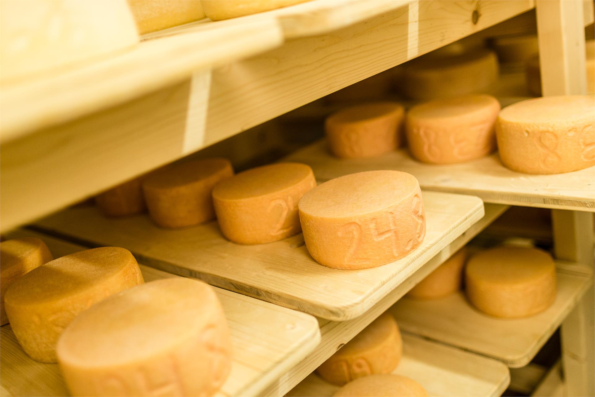 Boarbichl - Farm shop and cheese factory Schenna/Scena 1 suedtirol.info