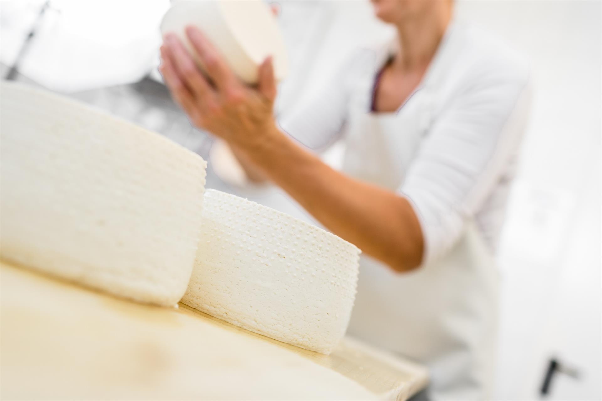 Boarbichl - Farm shop and cheese factory Schenna/Scena 5 suedtirol.info