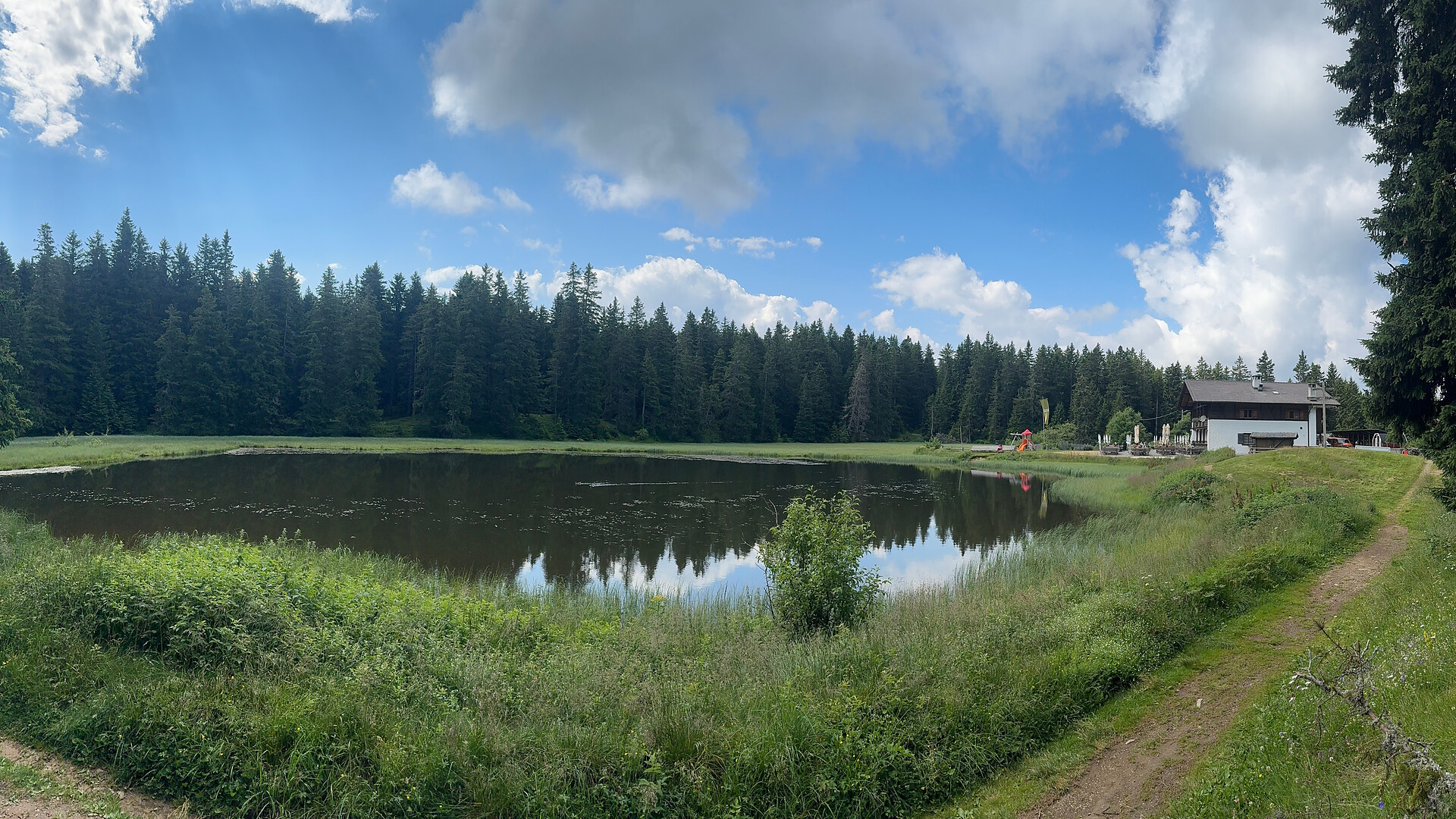 Biotop Schwarze Lacke - Meran und Umgebung - #3 - suedtirol.info