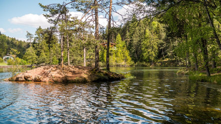 The Wolfsgruben bathing lake  1 suedtirol.info