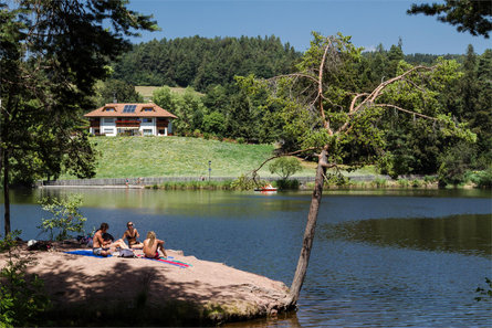 The Wolfsgruben bathing lake  2 suedtirol.info