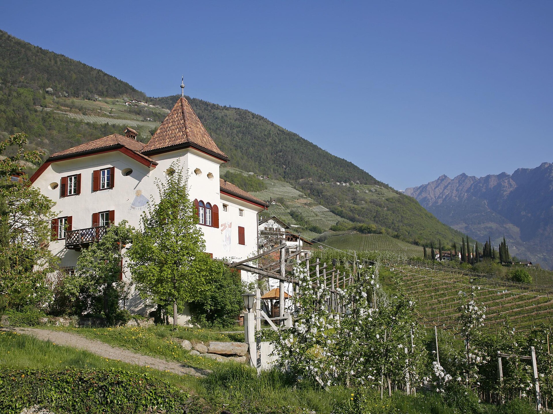 Distilleria privata Lahnerhof Cermes 1 suedtirol.info