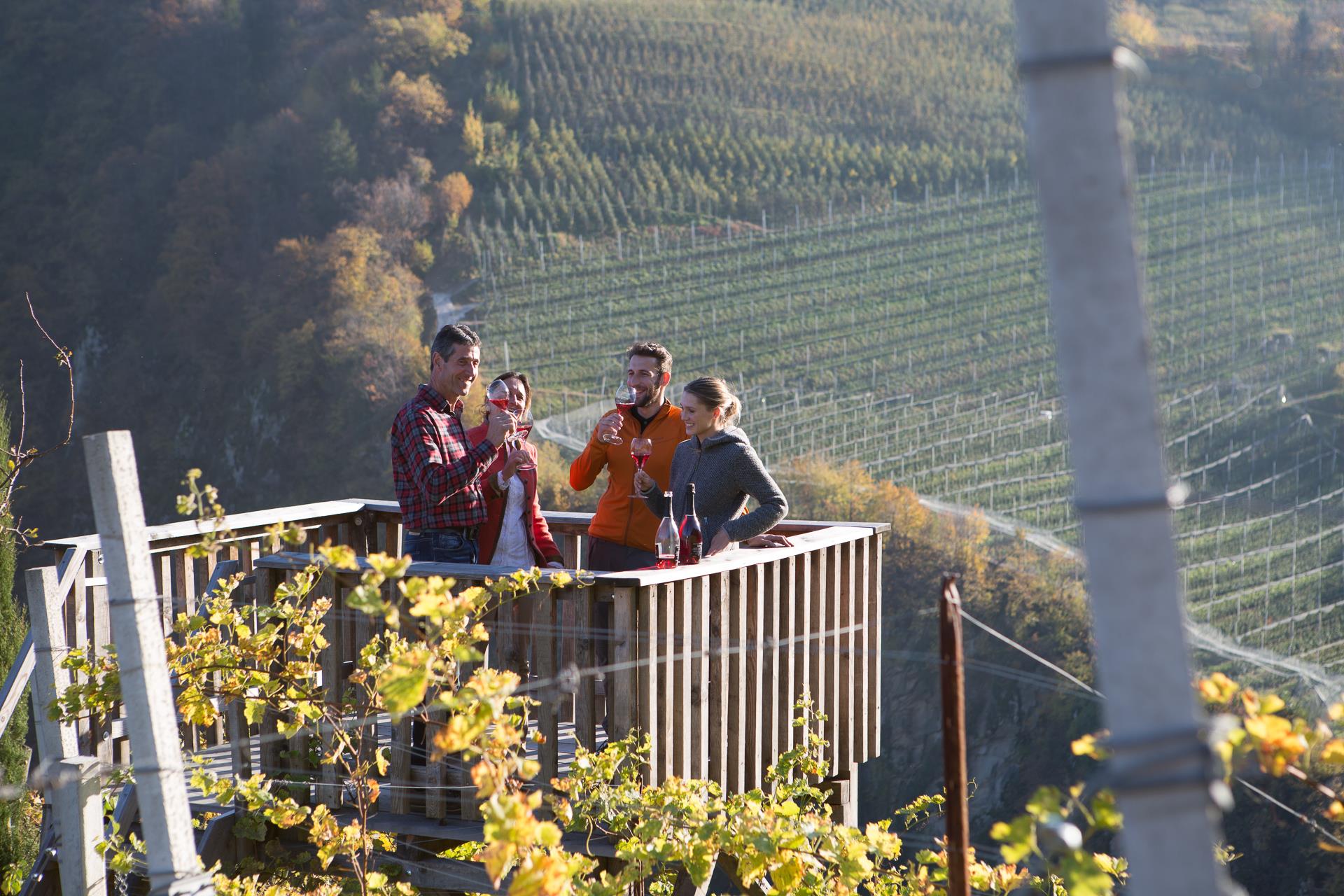 Bio-Weingut Zollweghof Lana 2 suedtirol.info